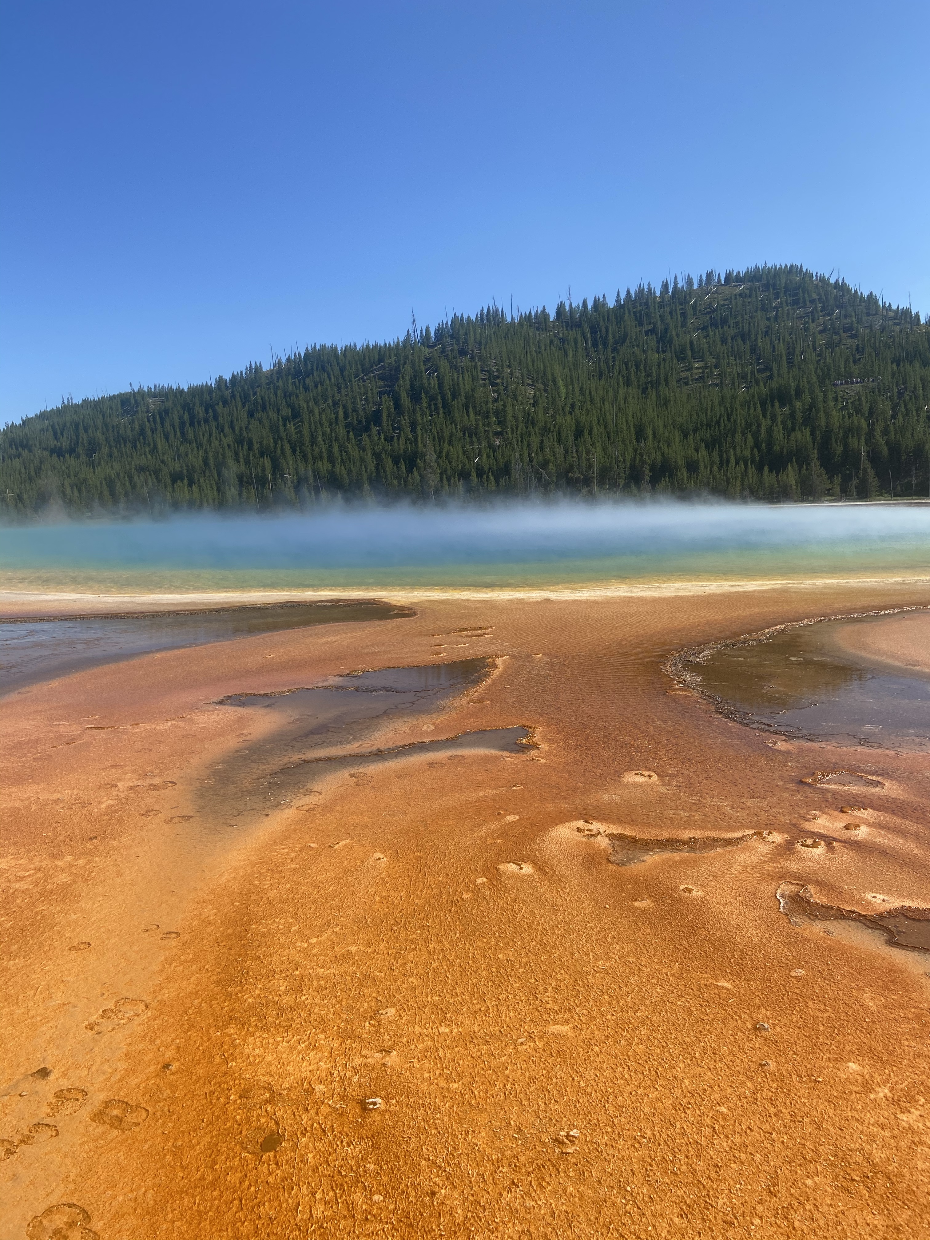 Day 1 of my adventure to Yellowstone NP and Grand Teton NP. July 5, 2020