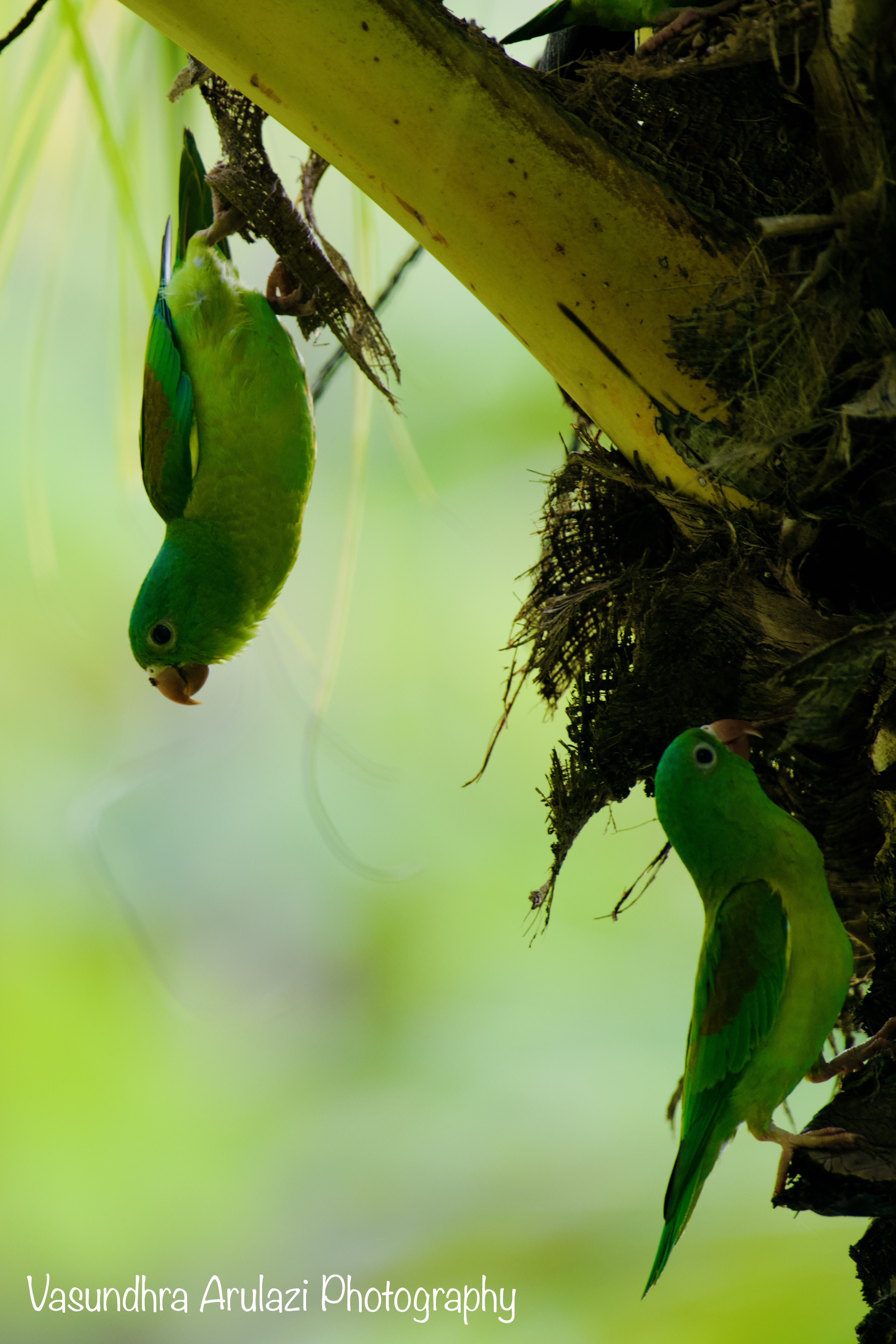 Unexpected Costa Rica