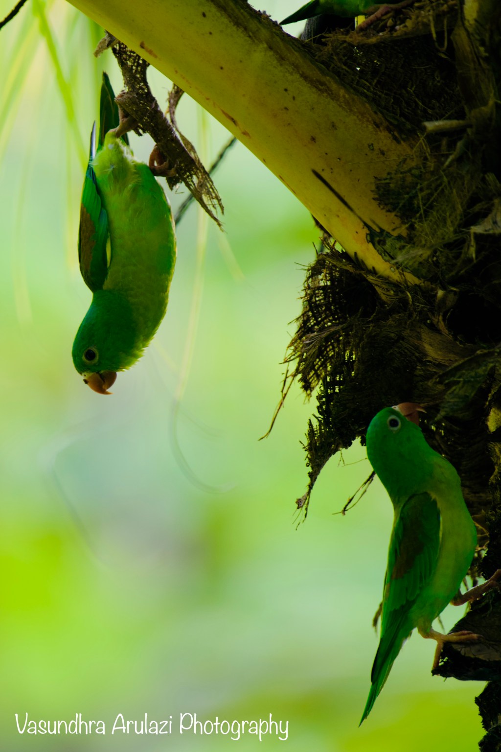 Unexpected Costa Rica