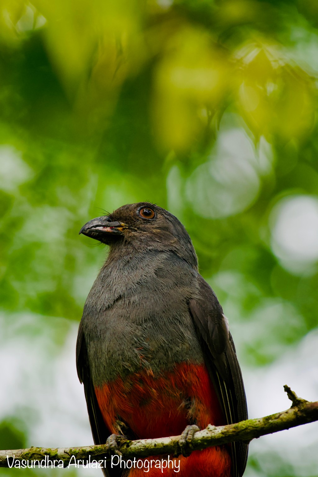 Biosur Hiking Adventure